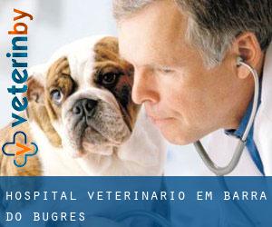 Hospital veterinário em Barra do Bugres