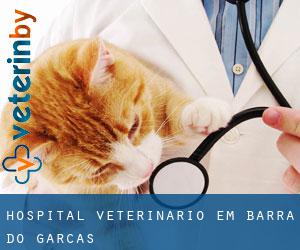 Hospital veterinário em Barra do Garças