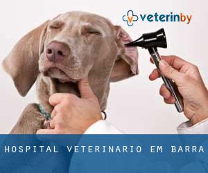 Hospital veterinário em Barra