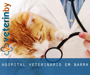 Hospital veterinário em Barra