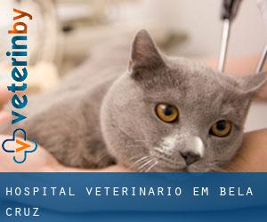 Hospital veterinário em Bela Cruz