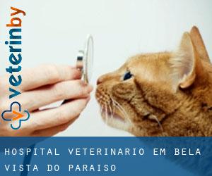 Hospital veterinário em Bela Vista do Paraíso