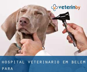 Hospital veterinário em Belém (Pará)