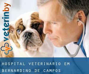 Hospital veterinário em Bernardino de Campos