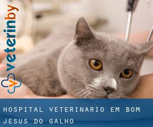 Hospital veterinário em Bom Jesus do Galho