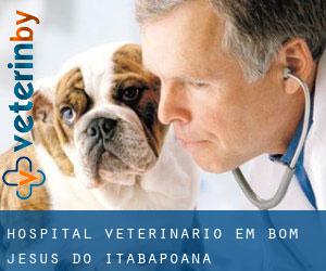 Hospital veterinário em Bom Jesus do Itabapoana