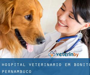 Hospital veterinário em Bonito (Pernambuco)
