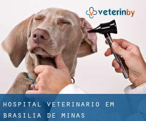 Hospital veterinário em Brasília de Minas