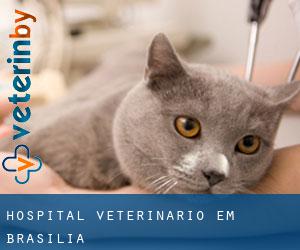 Hospital veterinário em Brasília
