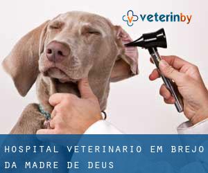Hospital veterinário em Brejo da Madre de Deus