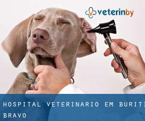 Hospital veterinário em Buriti Bravo