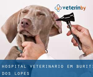 Hospital veterinário em Buriti dos Lopes