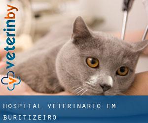 Hospital veterinário em Buritizeiro