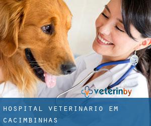 Hospital veterinário em Cacimbinhas