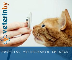 Hospital veterinário em Caçu