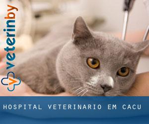 Hospital veterinário em Caçu