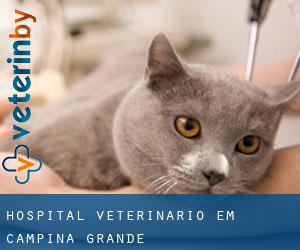 Hospital veterinário em Campina Grande