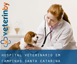 Hospital veterinário em Campinas (Santa Catarina)