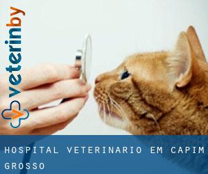Hospital veterinário em Capim Grosso