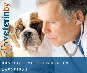 Hospital veterinário em Capoeiras