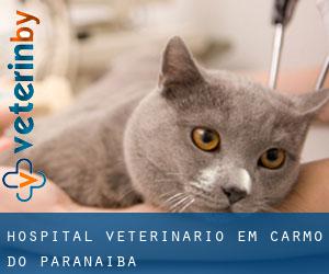 Hospital veterinário em Carmo do Paranaíba