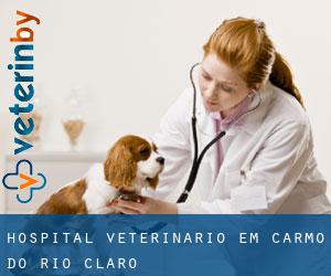 Hospital veterinário em Carmo do Rio Claro