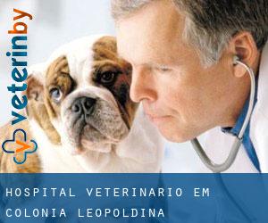 Hospital veterinário em Colônia Leopoldina