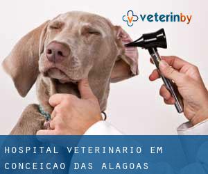 Hospital veterinário em Conceição das Alagoas