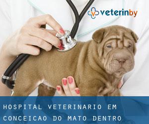 Hospital veterinário em Conceição do Mato Dentro