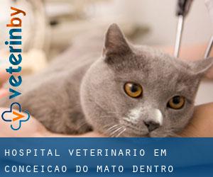 Hospital veterinário em Conceição do Mato Dentro