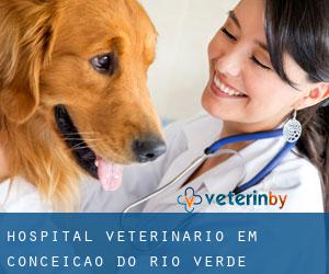 Hospital veterinário em Conceição do Rio Verde