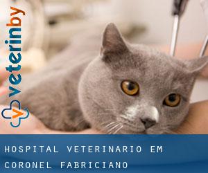 Hospital veterinário em Coronel Fabriciano