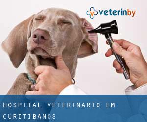 Hospital veterinário em Curitibanos