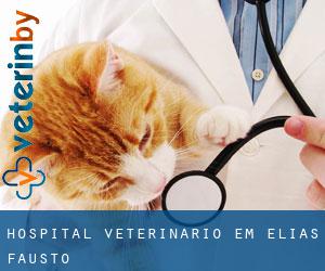 Hospital veterinário em Elias Fausto