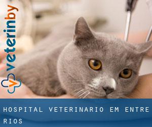 Hospital veterinário em Entre Rios