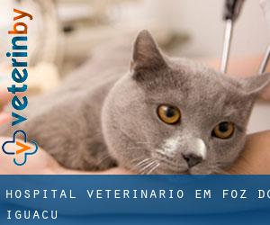 Hospital veterinário em Foz do Iguaçu