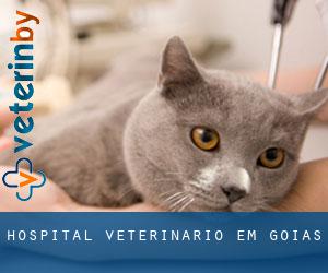 Hospital veterinário em Goiás