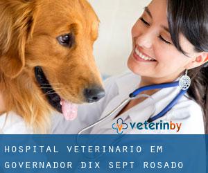 Hospital veterinário em Governador Dix-Sept Rosado