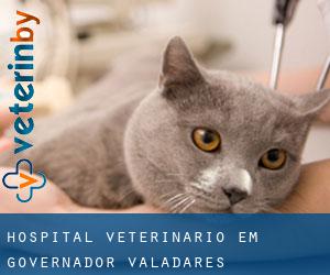 Hospital veterinário em Governador Valadares