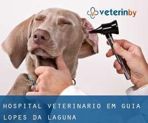 Hospital veterinário em Guia Lopes da Laguna