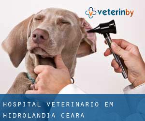 Hospital veterinário em Hidrolândia (Ceará)