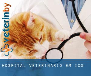 Hospital veterinário em Icó