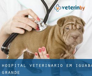 Hospital veterinário em Iguaba Grande