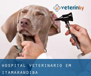 Hospital veterinário em Itamarandiba