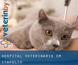 Hospital veterinário em Itápolis