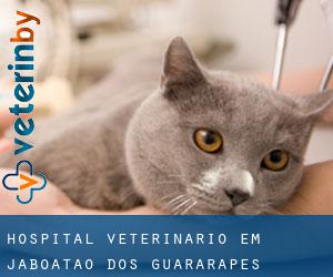 Hospital veterinário em Jaboatão dos Guararapes