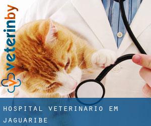 Hospital veterinário em Jaguaribe