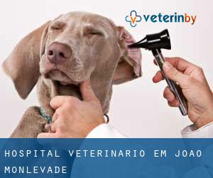 Hospital veterinário em João Monlevade