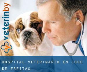 Hospital veterinário em José de Freitas