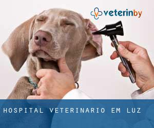 Hospital veterinário em Luz